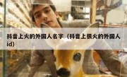 抖音上火的外国人名字（抖音上很火的外国人id）