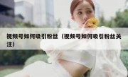视频号如何吸引粉丝（视频号如何吸引粉丝关注）