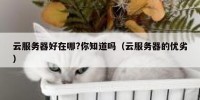 云服务器好在哪?你知道吗（云服务器的优劣）