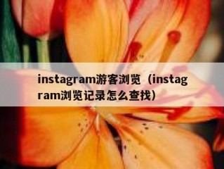 instagram游客浏览（instagram浏览记录怎么查找）