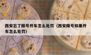 西安忘了限号开车怎么处罚（西安限号如果开车怎么处罚）