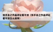 快手自己作品评论看不到（快手自己作品评论看不到怎么回事）