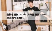 最新电视剧2023年2月热播剧情（22021最新电视剧）