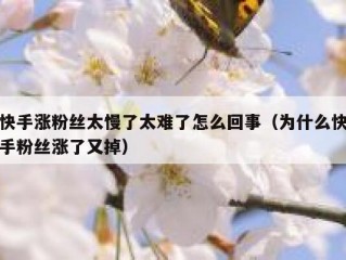 快手涨粉丝太慢了太难了怎么回事（为什么快手粉丝涨了又掉）