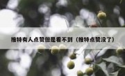 推特有人点赞但是看不到（推特点赞没了）