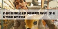 抖音粉丝赚钱还是赞多赚钱呢是真的吗（抖音粉丝都是有钱的吗）