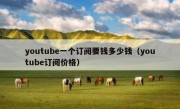 youtube一个订阅要钱多少钱（youtube订阅价格）