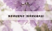 快手评论短句子（快手评论语大全）