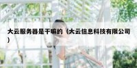 大云服务器是干嘛的（大云信息科技有限公司）
