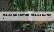 快手评论为什么在右边呢（快手评论显示右边）