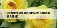 ins直播可以看到进来的人吗（ins怎么看人直播）