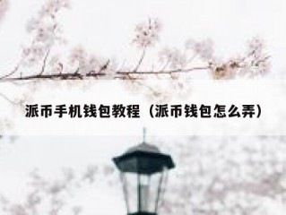 派币手机钱包教程（派币钱包怎么弄）