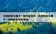 大樱桃和车厘子一样吗能吃吗（大樱桃和车厘子一样吗能吃吗有毒吗）