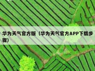 华为天气官方版（华为天气官方APP下载步骤）