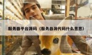 服务器平台源码（服务器源代码什么意思）