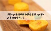 pi的Kyc申请审核中状态怎样（pi币kyc审核几个月了）