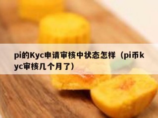 pi的Kyc申请审核中状态怎样（pi币kyc审核几个月了）