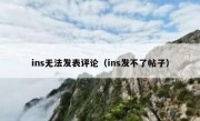 ins无法发表评论（ins发不了帖子）