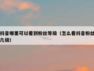抖音哪里可以看到粉丝等级（怎么看抖音粉丝几级）