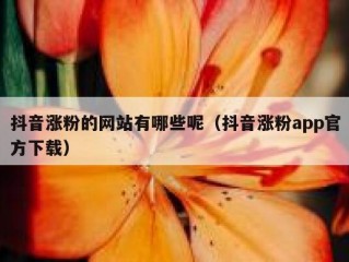 抖音涨粉的网站有哪些呢（抖音涨粉app官方下载）