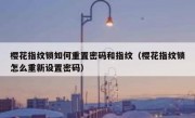 樱花指纹锁如何重置密码和指纹（樱花指纹锁怎么重新设置密码）