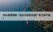 怎么免费涨粉（怎么引流怎么推广自己的产品）