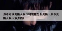 派币可以兑换人民币吗现在怎么兑换（派币兑换人民币多少钱）