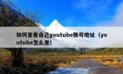 如何查看自己youtube账号地址（youtube怎么查）