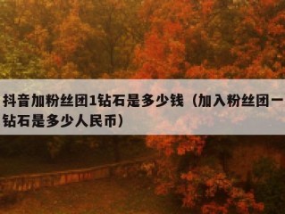 抖音加粉丝团1钻石是多少钱（加入粉丝团一钻石是多少人民币）