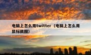 电脑上怎么用twitter（电脑上怎么用鼠标截图）