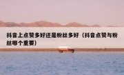 抖音上点赞多好还是粉丝多好（抖音点赞与粉丝哪个重要）