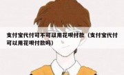 支付宝代付可不可以用花呗付款（支付宝代付可以用花呗付款吗）