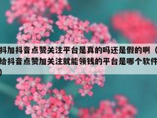 抖加抖音点赞关注平台是真的吗还是假的啊（给抖音点赞加关注就能领钱的平台是哪个软件）