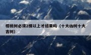 樱桃树必须2棵以上才结果吗（十大凶树十大吉树）