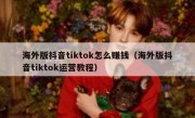 海外版抖音tiktok怎么赚钱（海外版抖音tiktok运营教程）