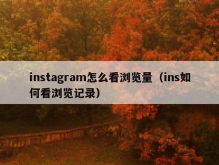 instagram怎么看浏览量（ins如何看浏览记录）
