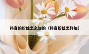 抖音的粉丝怎么加的（抖音粉丝怎样加）