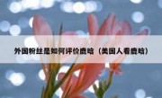 外国粉丝是如何评价鹿晗（美国人看鹿晗）