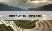 樱花在几点开放?（樱花几点钟开）