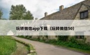 玩转微信app下载（玩转微信50）