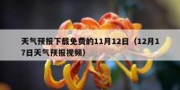 天气预报下载免费的11月12日（12月17日天气预报视频）