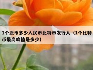 1个派币多少人民币比特币发行人（1个比特币最高峰值是多少）