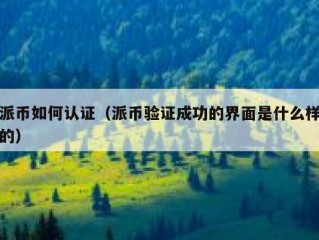 派币如何认证（派币验证成功的界面是什么样的）