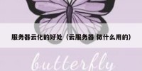 服务器云化的好处（云服务器 做什么用的）