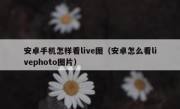 安卓手机怎样看live图（安卓怎么看livephoto图片）