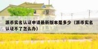 派币实名认证申请最新版本是多少（派币实名认证不了怎么办）