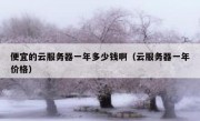 便宜的云服务器一年多少钱啊（云服务器一年价格）