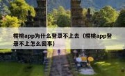 樱桃app为什么登录不上去（樱桃app登录不上怎么回事）