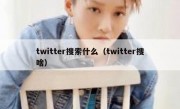 twitter搜索什么（twitter搜啥）
