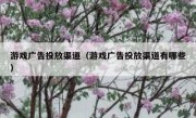 游戏广告投放渠道（游戏广告投放渠道有哪些）